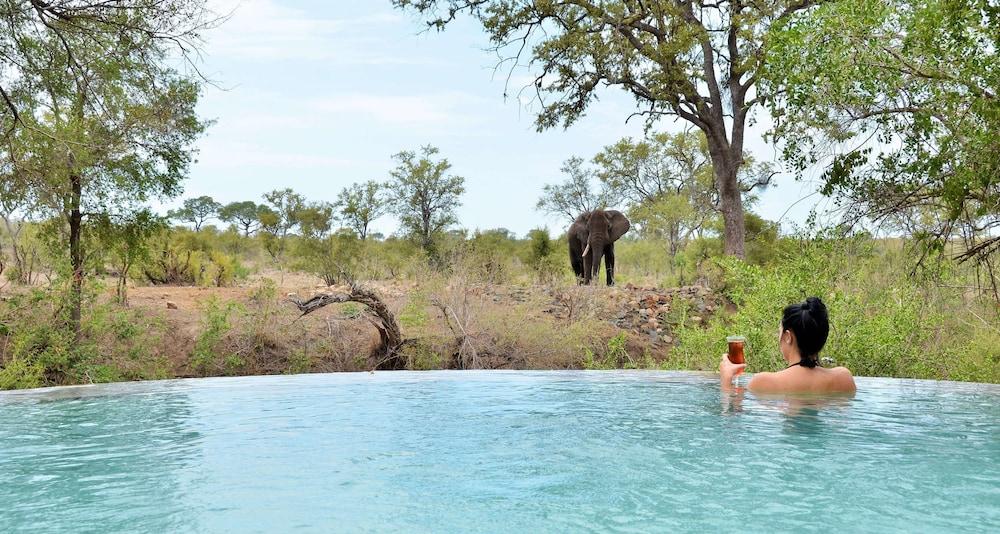 Hoyo Hoyo Safari Lodge Mluwati Concession Екстериор снимка