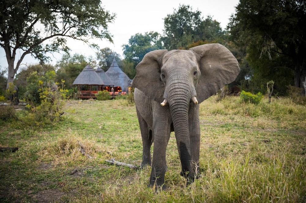 Hoyo Hoyo Safari Lodge Mluwati Concession Екстериор снимка