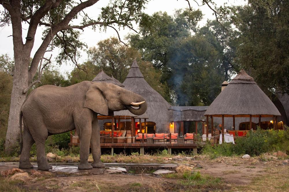 Hoyo Hoyo Safari Lodge Mluwati Concession Екстериор снимка