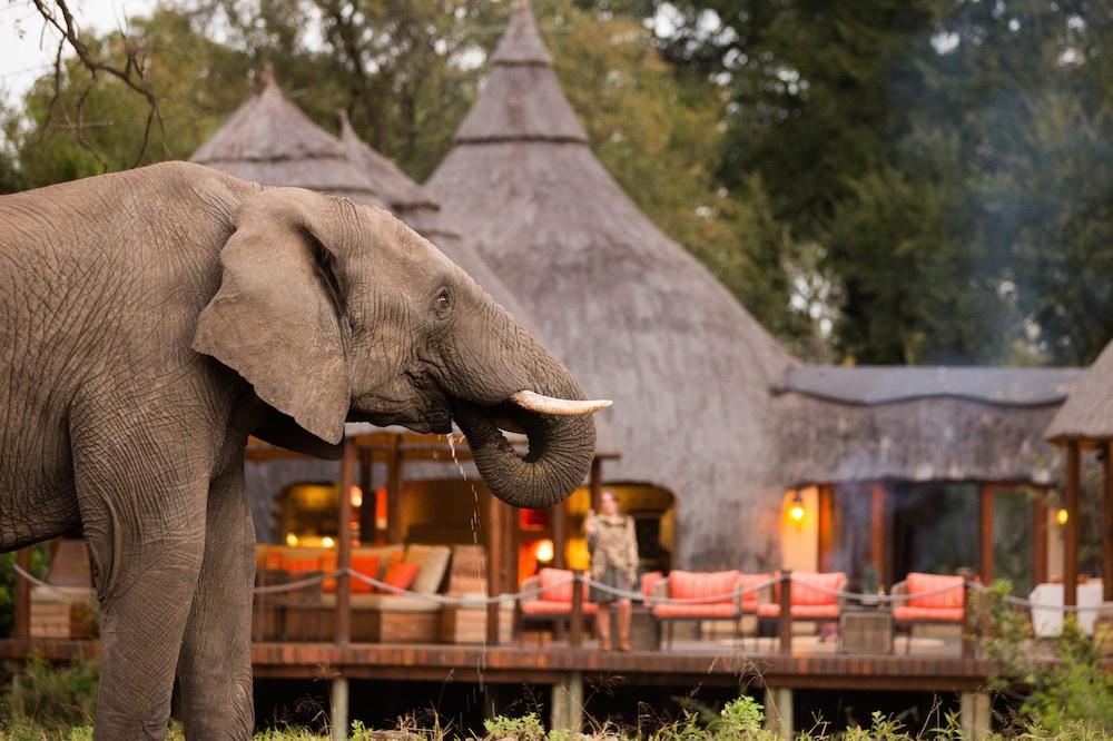 Hoyo Hoyo Safari Lodge Mluwati Concession Екстериор снимка