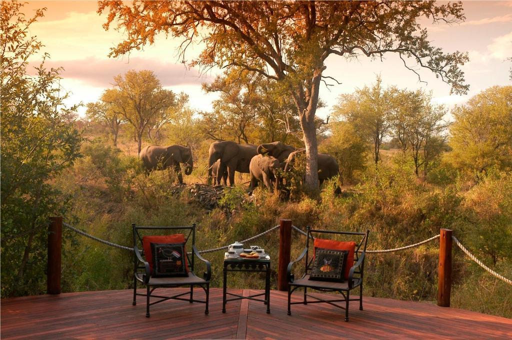 Hoyo Hoyo Safari Lodge Mluwati Concession Екстериор снимка